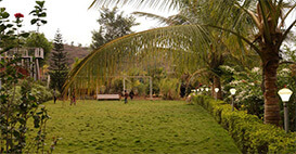 play area and garden